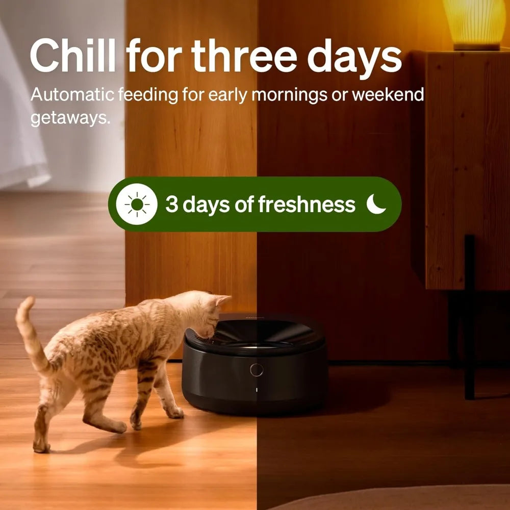 Automatic Cat Feeder Wet Food with Stainless Steel Bowl, Refrigerated Auto Cat Feeder with Semiconductor Cooling, 3 Fresh Meals