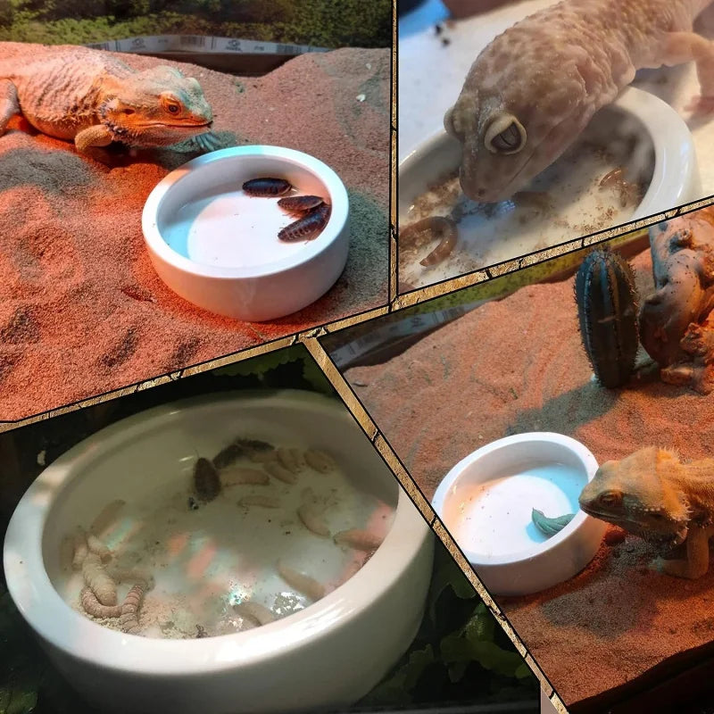 2Pcs Reptile Food Dish Bowls Worm Feeder Gecko Ceramic Pet with Tongs Tortoise Bearded D
