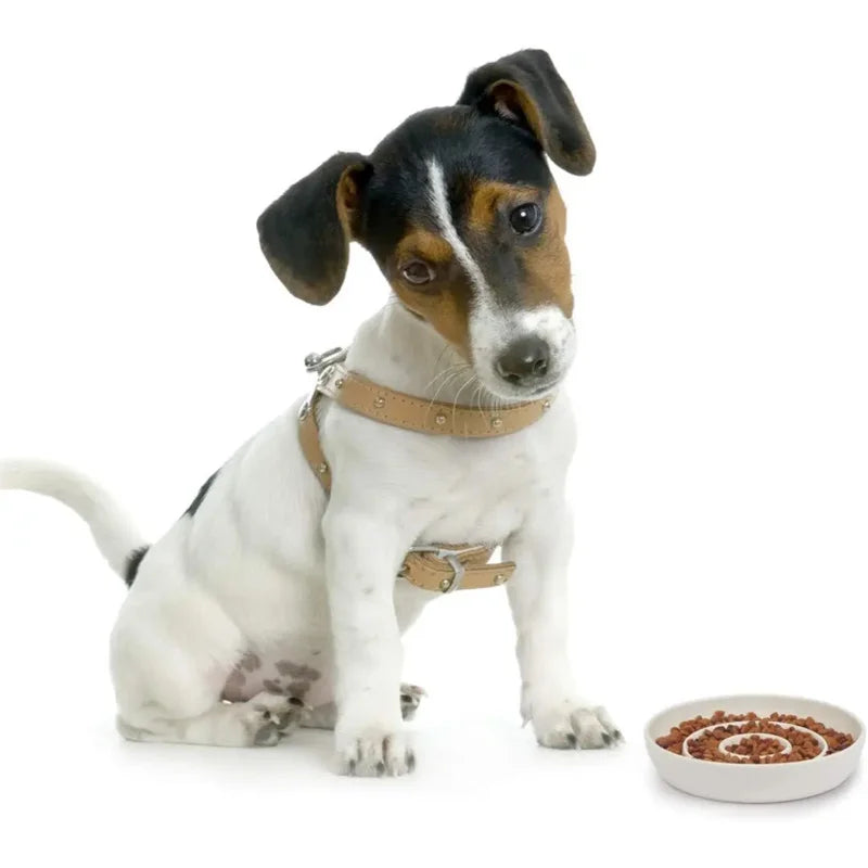 Slow Feeder Bowl,Ceramic Feed Bowls Heavy and Shallow Wisker Stress-Free Pets Dish Kittens Small Wet Food,