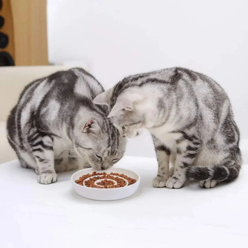 Slow Feeder Bowl,Ceramic Feed Bowls Heavy and Shallow Wisker Stress-Free Pets Dish Kittens Small Wet Food,