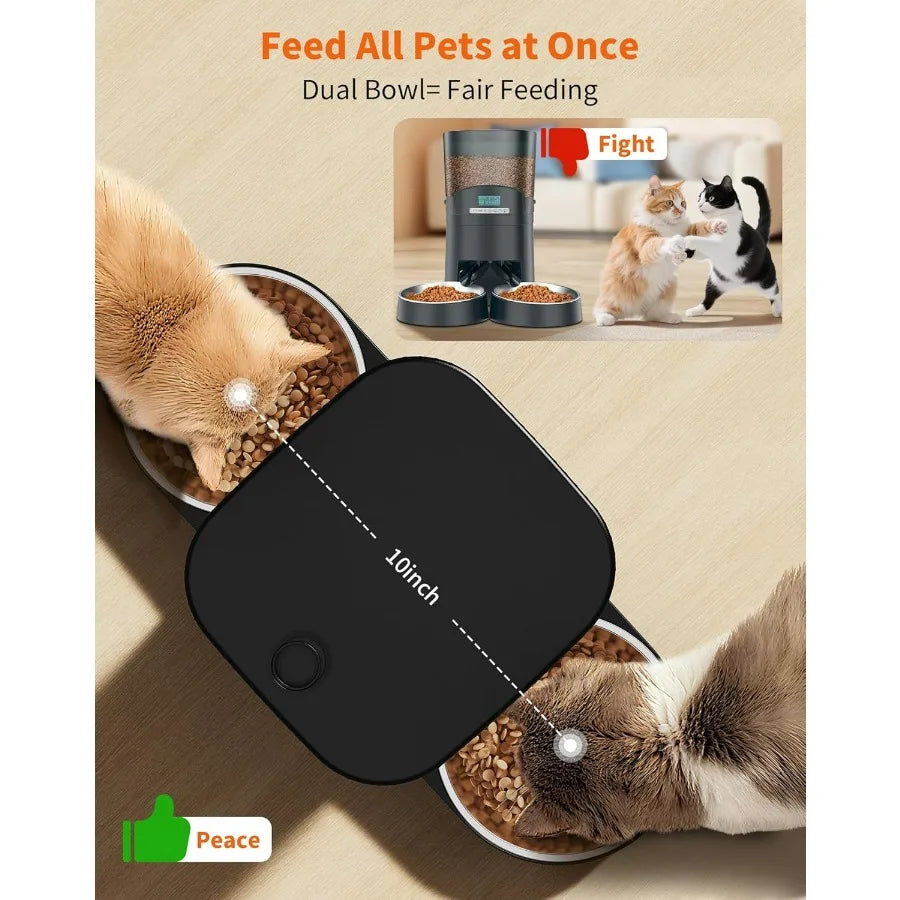 Automatic Cat Feeder for 2 Cats with Timed Dispensing Programmable Portion Control and 10s Voice Recorder for Daily Feeding Rou