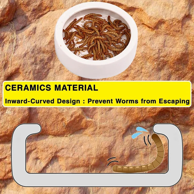2Pcs Reptile Food Dish Bowls Worm Feeder Gecko Ceramic Pet with Tongs Tortoise Bearded D