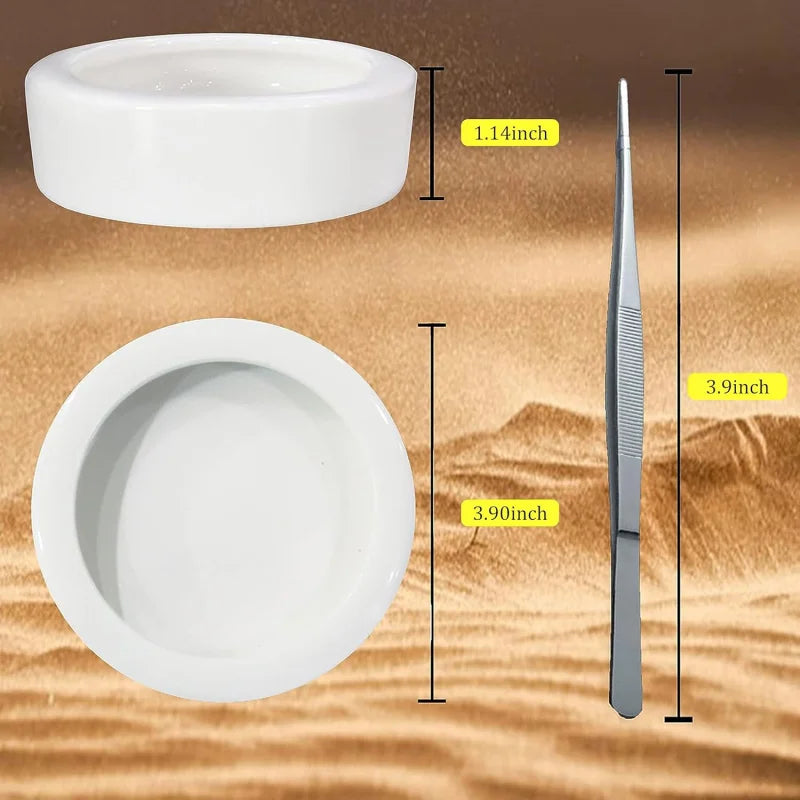 2Pcs Reptile Food Dish Bowls Worm Feeder Gecko Ceramic Pet with Tongs Tortoise Bearded D