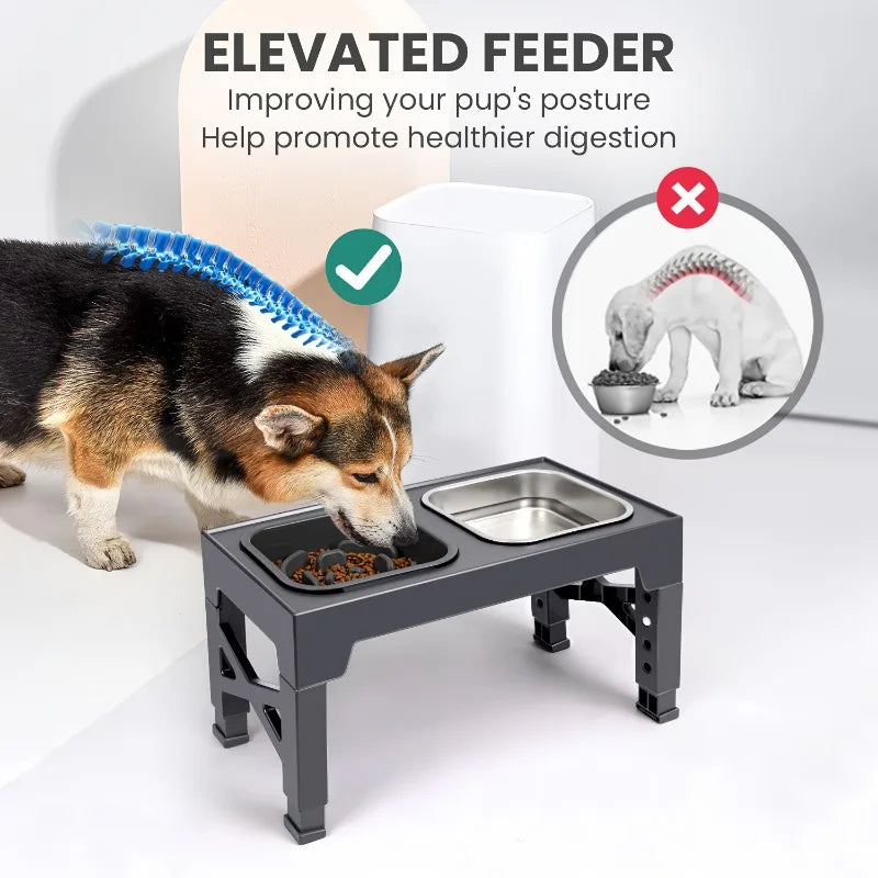 5-in-1 Adjustable Dog Food Bowl - Raised Feeder from 3.15" to 12.2" for Small to Large Dogs, Includes Slow Feed Insert