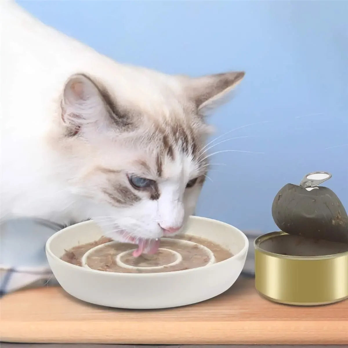 Slow Feeder Bowl,Ceramic Feed Bowls Heavy and Shallow Wisker Stress-Free Pets Dish Kittens Small Wet Food,
