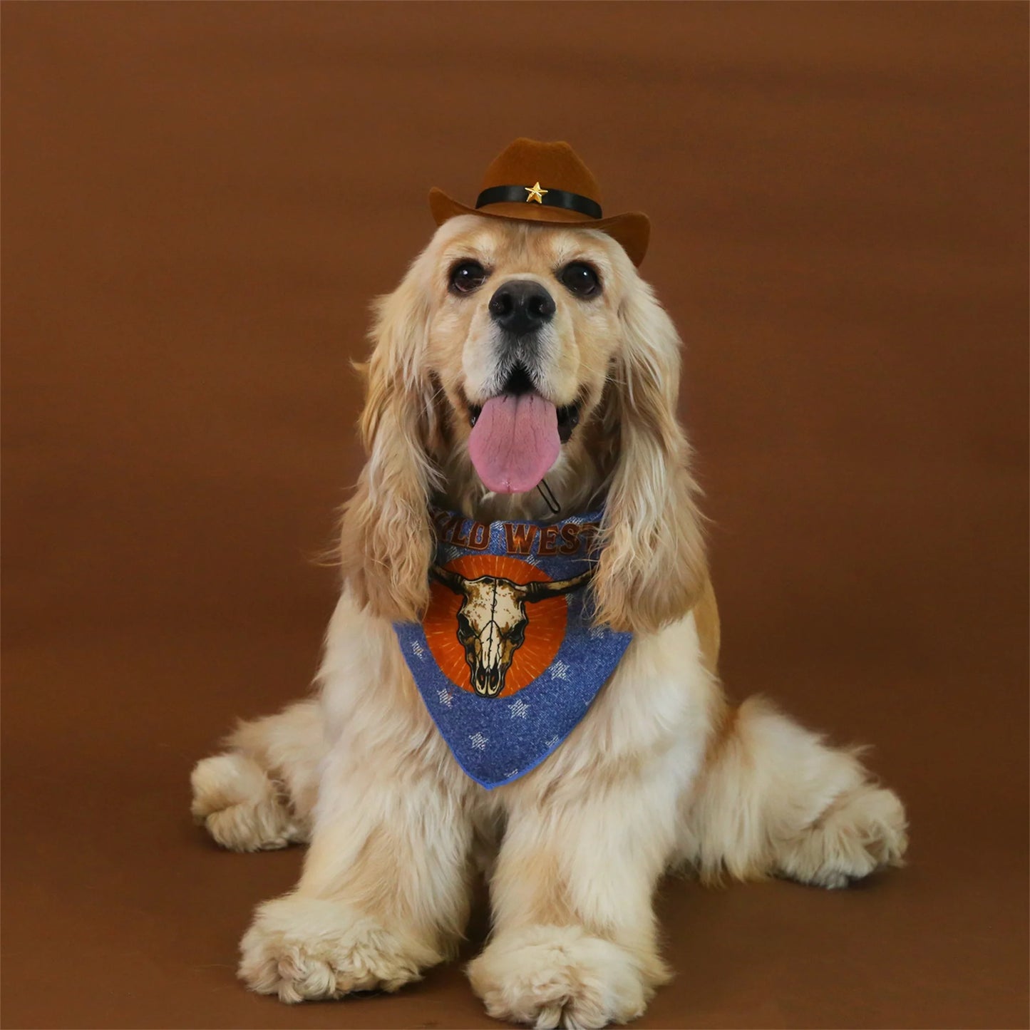 Dog Cowboy Costume Vintage Wild West Hat and Paisley Print Bandana Set Halloween Costume for Small Pets