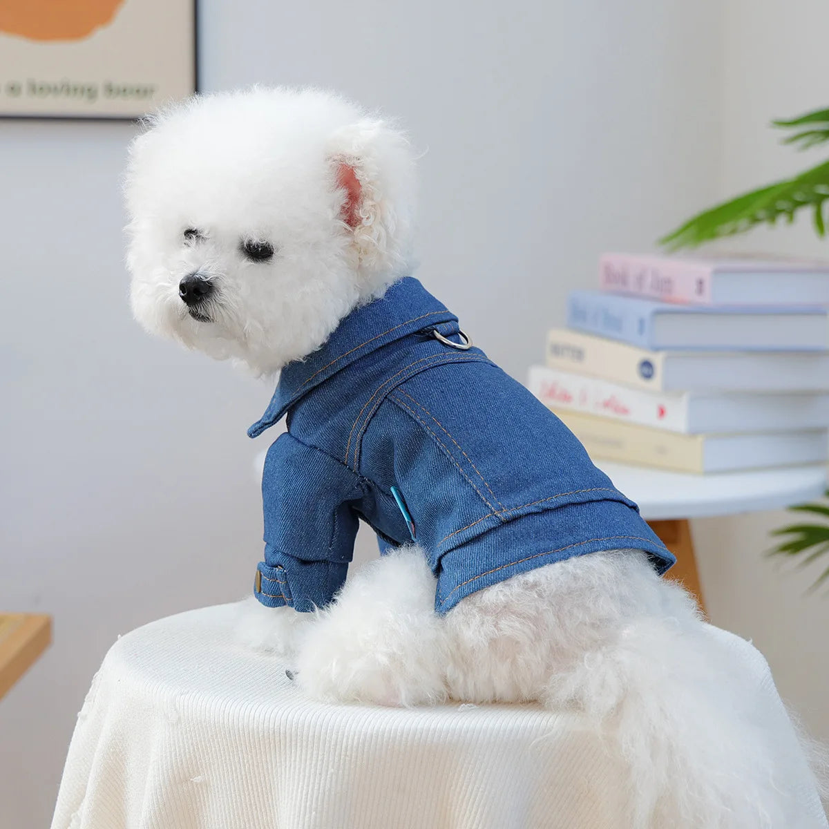 Pet Denim Vest Vintage Style Jean Jacket Coat Shirt for Dogs Spring Summer Fall Festival Party Daily Wear
