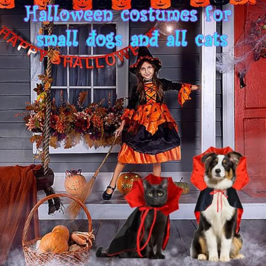 Cat Halloween Costumes Adjtable Vampire Cape Cloak Accessories for Kitten Small Dogs Black Bat Cat Masks Cosplay C at Outfits S