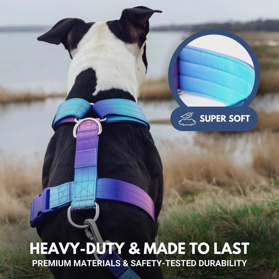 No Pull Dog Harness for Large Dogs, Heavy Duty Dog Harness for Big Strong Breeds, Adjustable, Y Shaped Padded Halter Design with