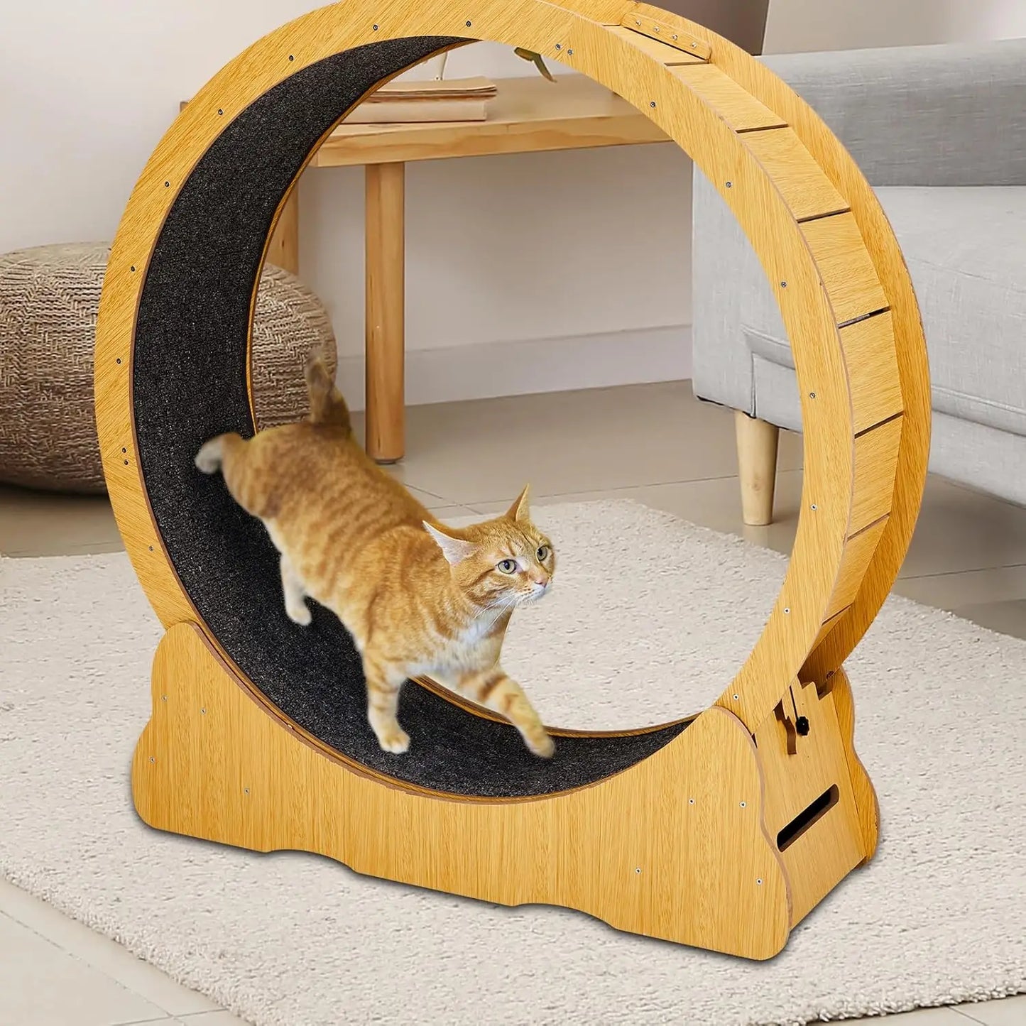 Cat Wheel Exerciser for Indoor Cats, 39.4-inch Large Cat Exercise Wheel for Running Silent, Cat Treadmill with, Customized