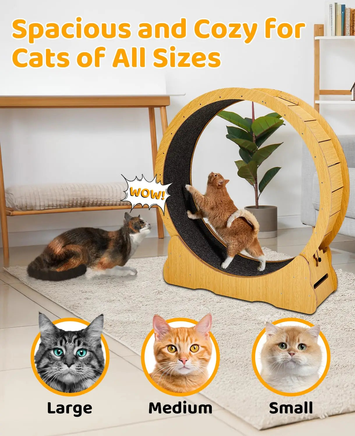 Cat Wheel Exerciser for Indoor Cats, 39.4-inch Large Cat Exercise Wheel for Running Silent, Cat Treadmill with, Customized