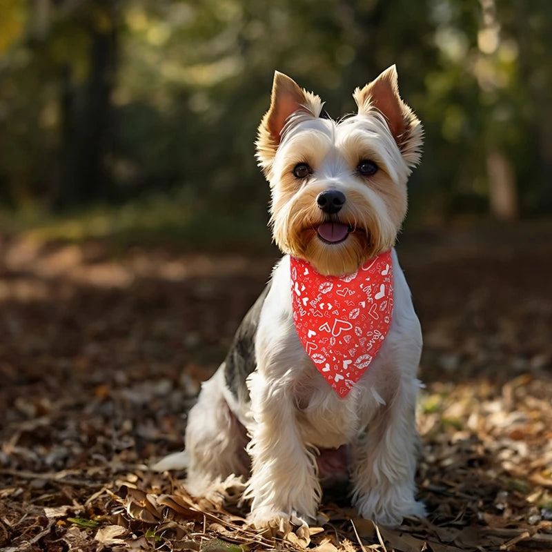 1PC Dog Bandana Washable Christmas Valentines Dog Bandanas Love Heart Printed Bib Kerchief Scarf Puppy Cat Pet Dog Accessories