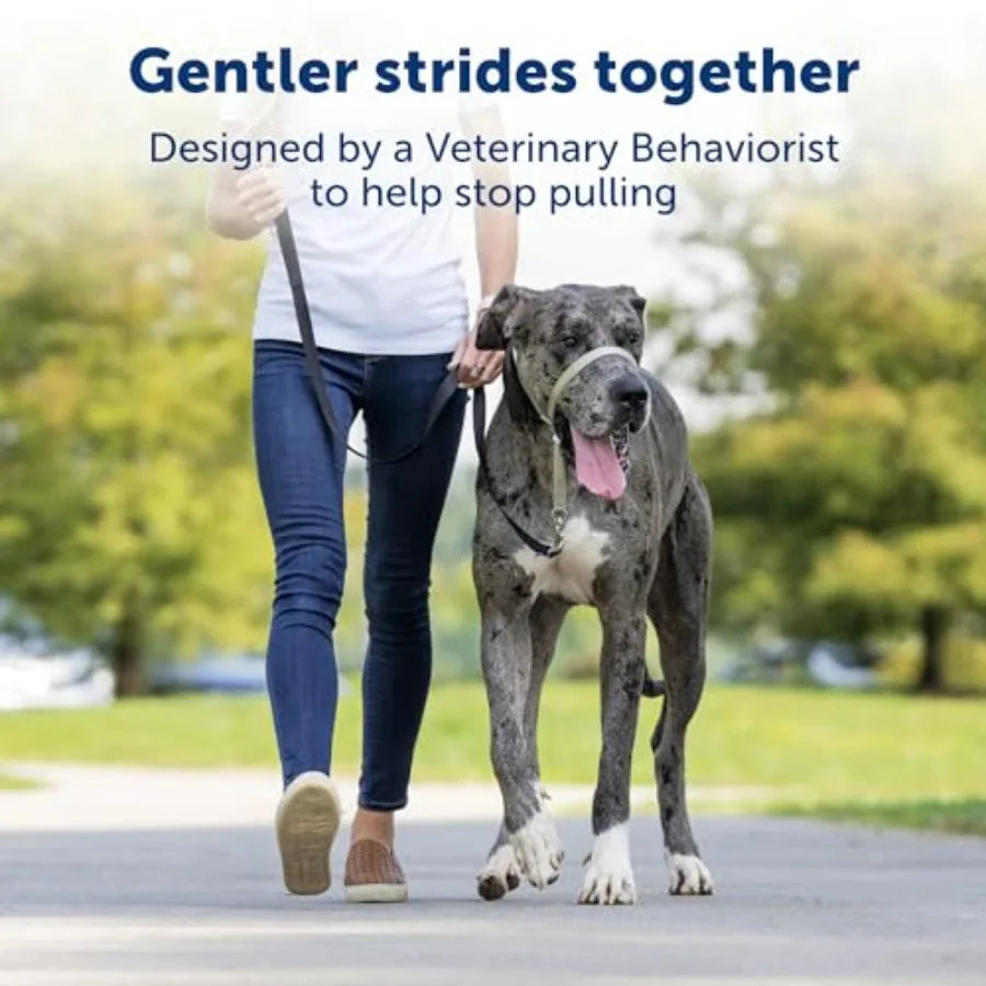 Gentle Leader Pull Head Collar for Dogs with Padded Strap and QuickSnap Neck Adjustment Ideal for Training and Walking Reduces