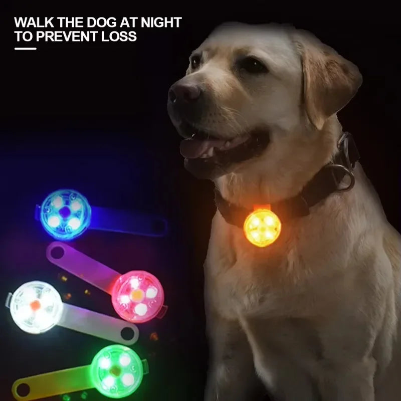 LED Pet Tracking Luminous Pendant Bright Ligh Dogs Collars Dog Wear Loss Weatherproof LED Safety Light USB Rechargeable Safety