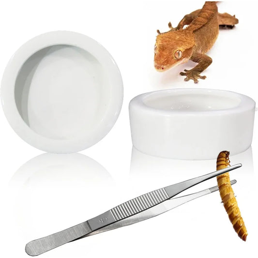 2Pcs Reptile Food Dish Bowls Worm Feeder Gecko Ceramic Pet with Tongs Tortoise Bearded D