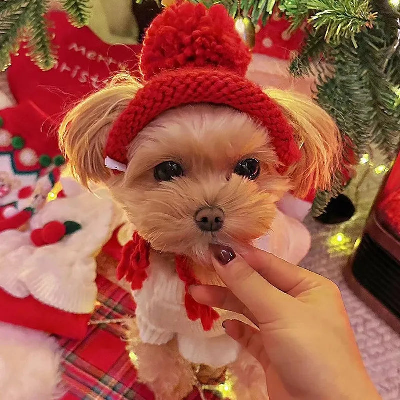 Pet Knitted Hat Dog Cute Fur Ball Head Cover Cat Accessories Suitable for Small and Medium Dogs and Cats