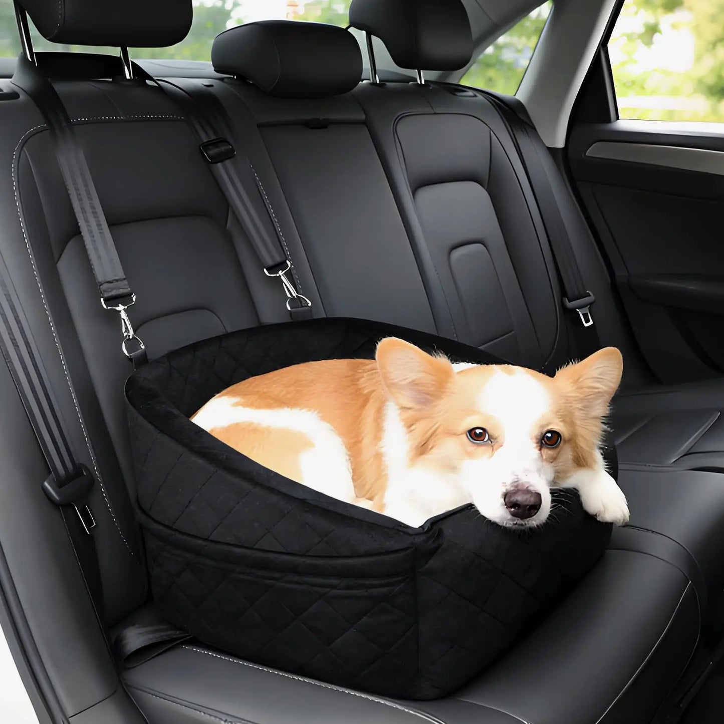Dog Booster Car Seat, Detachable Washable Pet Dog Bed with Safety Belt for Small Medium Puppies Cats Under 30-35 LB