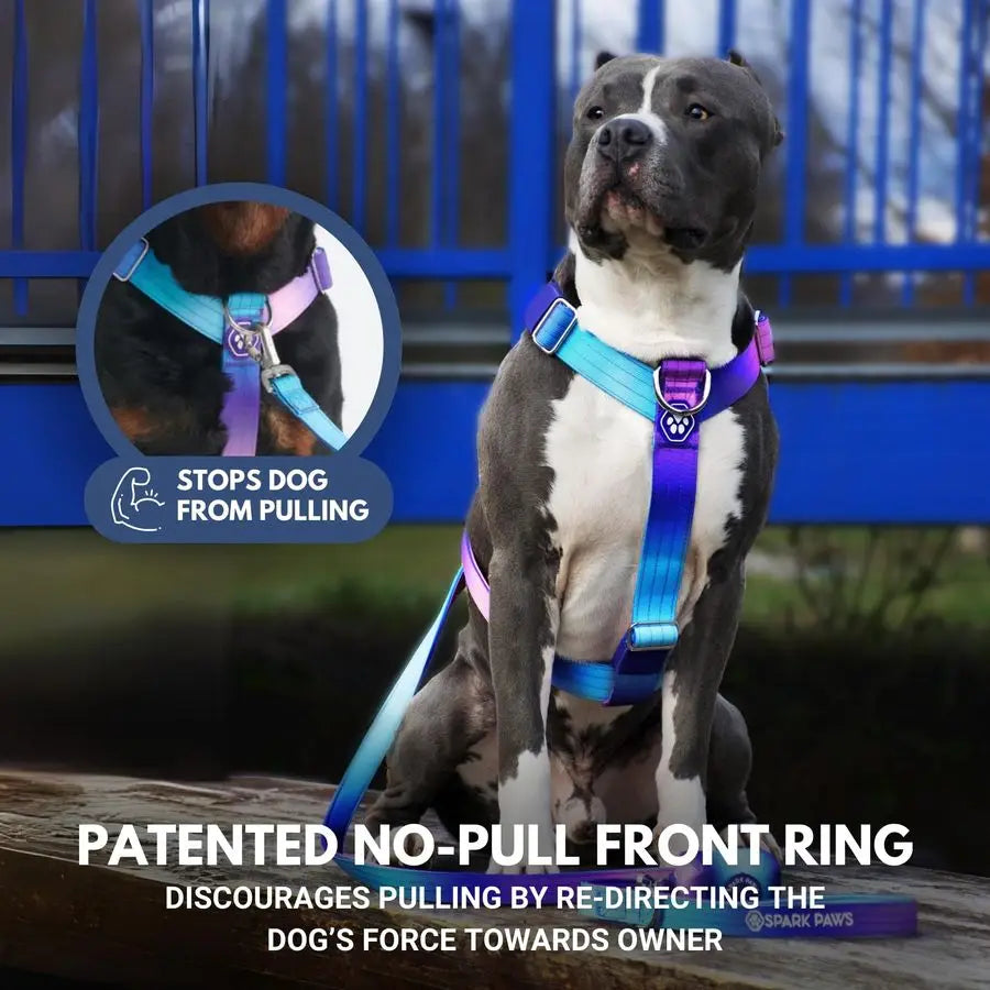 No Pull Dog Harness for Large Dogs, Heavy Duty Dog Harness for Big Strong Breeds, Adjustable, Y Shaped Padded Halter Design with