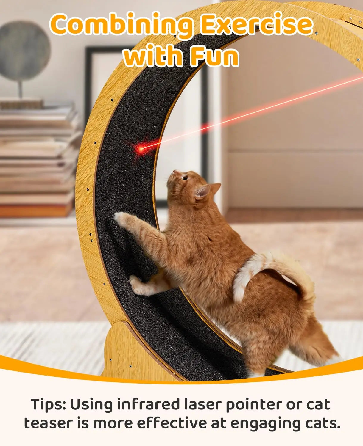 Cat Wheel Exerciser for Indoor Cats, 39.4-inch Large Cat Exercise Wheel for Running Silent, Cat Treadmill with, Customized