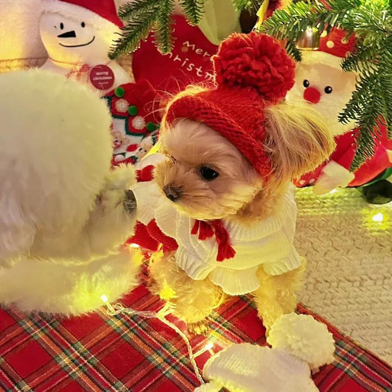 Pet Knitted Hat Dog Cute Fur Ball Head Cover Cat Accessories Suitable for Small and Medium Dogs and Cats
