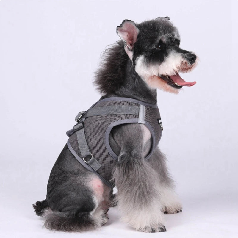 Pet Harness With Airtag Tracker And Leash Sets Puppy Cat Chest Strap For Small Medium Dogs Cat Harnesses Vest Outdoor Leads Rope