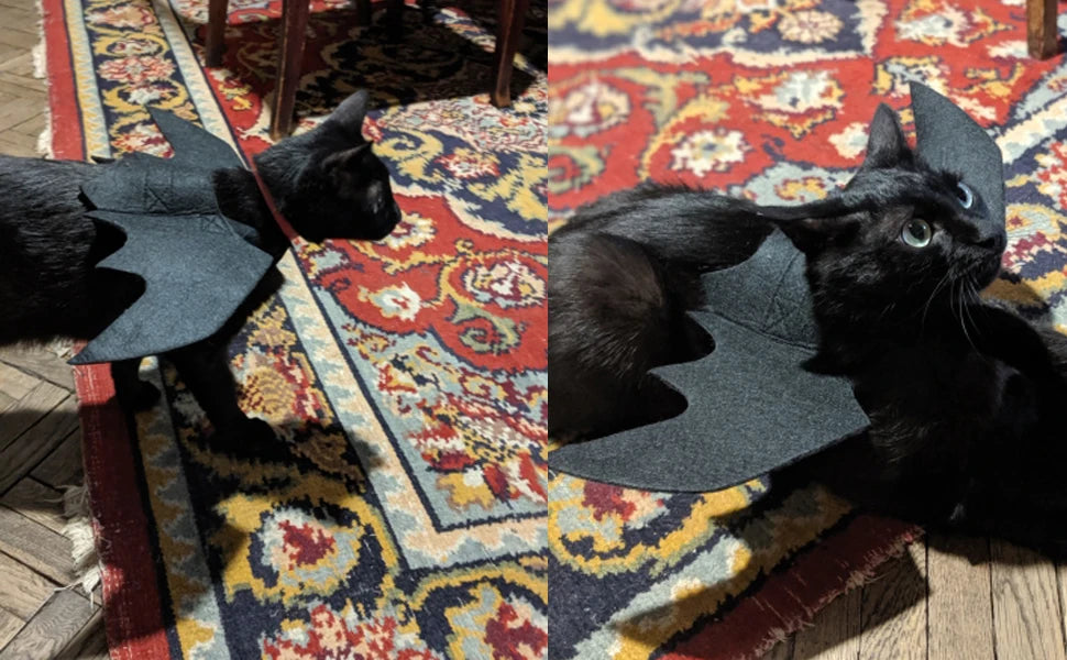 Pet Cat Bat Wings for Halloween Party Decoration, Puppy Collar Leads Cosplay Bat Costume,Cute Puppy Cat Dress Up Accessories