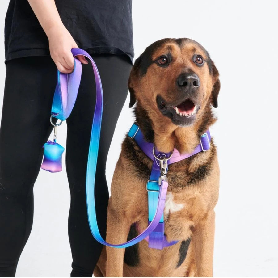 No Pull Dog Harness for Large Dogs, Heavy Duty Dog Harness for Big Strong Breeds, Adjustable, Y Shaped Padded Halter Design with