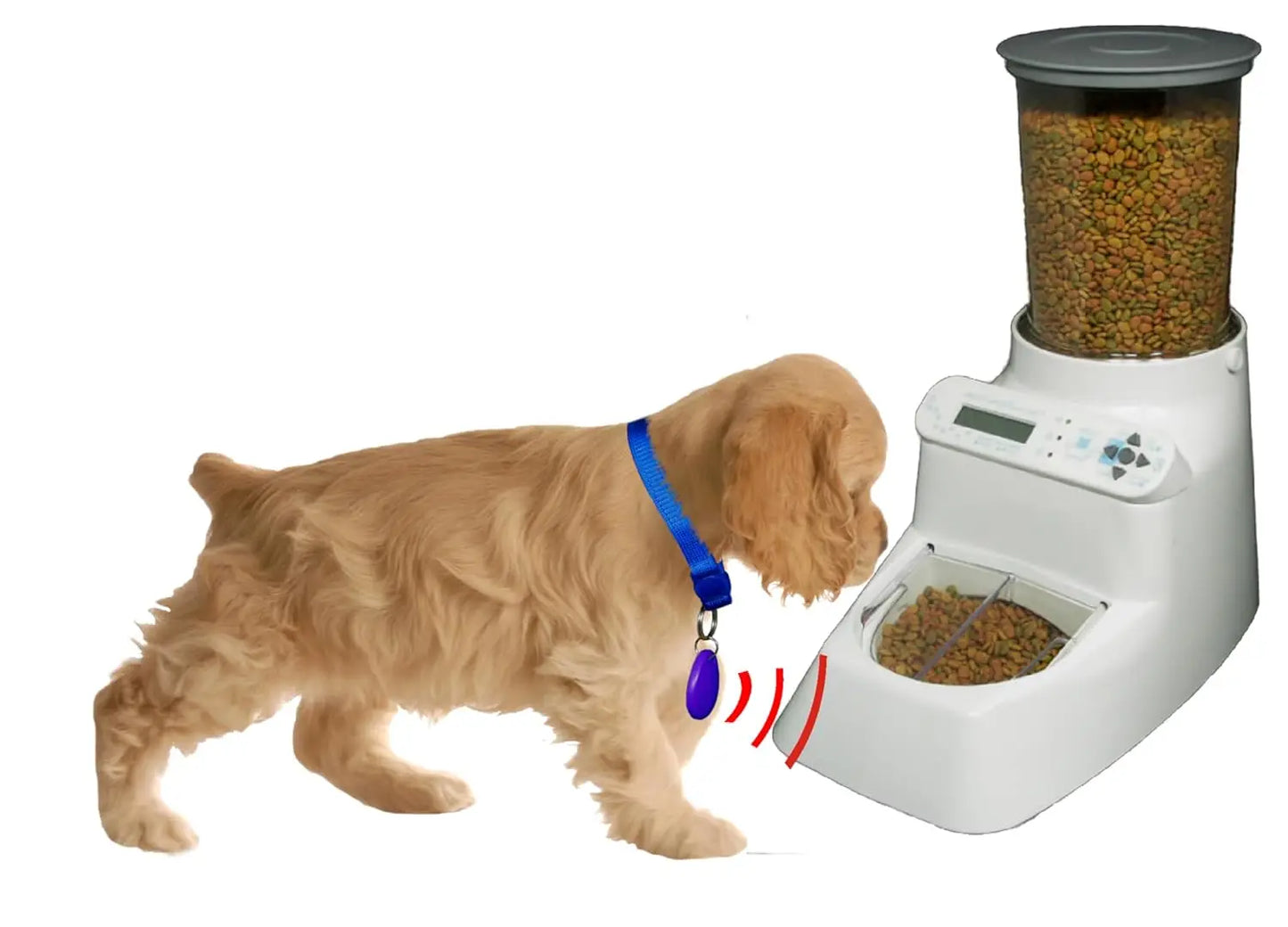 ® AI (Artificial Intelligence), RFID, Access Control and Multi-Pet Feeder., Customized
