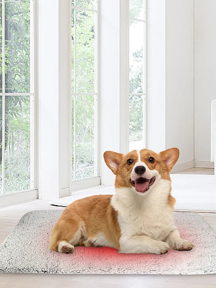 Self-Warming Cat Bed Pad Self-Heating Thermal Cat Dog Bed Mat Pet Warming Pad Soft Thickened Blanket Pad for Indoor Outdoor Pets