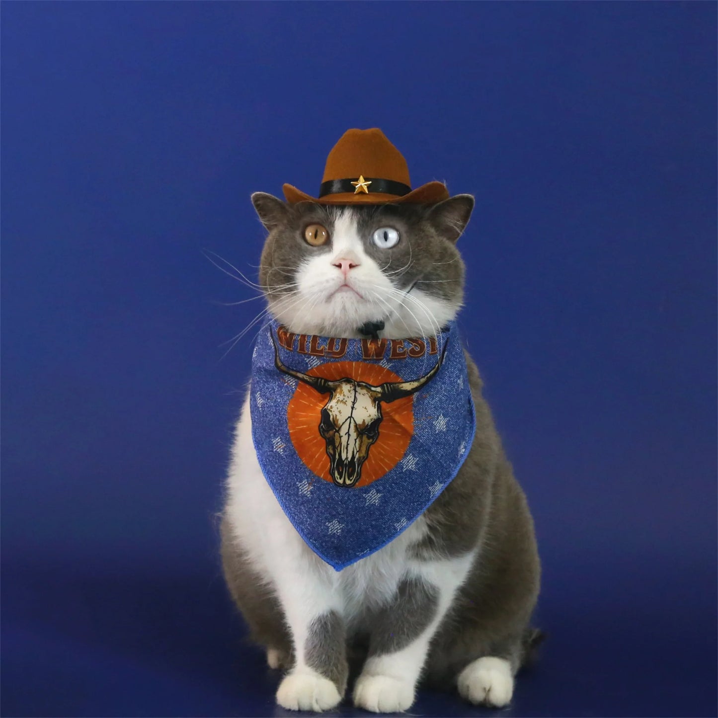 Dog Cowboy Costume Vintage Wild West Hat and Paisley Print Bandana Set Halloween Costume for Small Pets