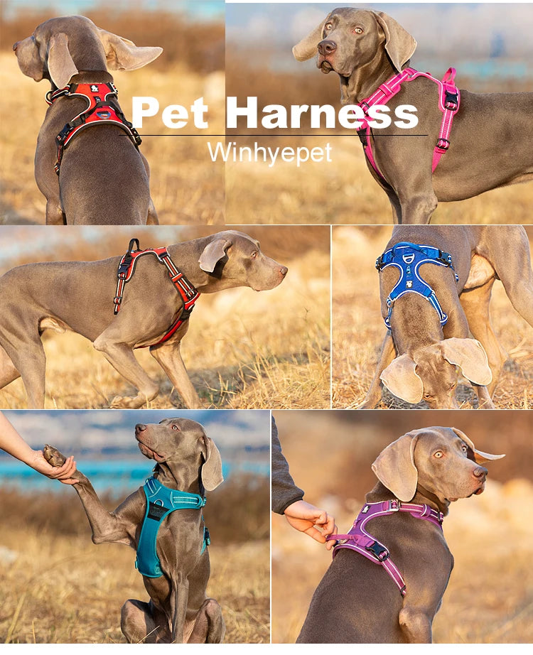 Winhyepet Training Dog Vest Pet Reflectiv Light Nylon Padding Dog service Harness Protective Clothes For Small Meduim Large