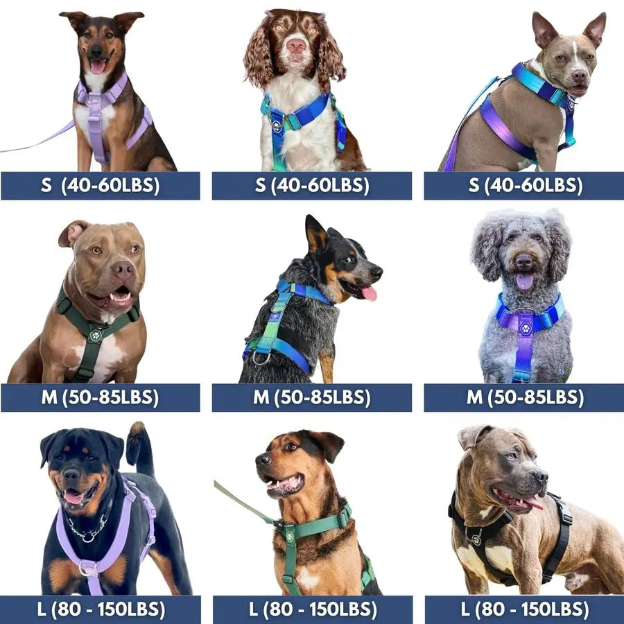 No Pull Dog Harness for Large Dogs, Heavy Duty Dog Harness for Big Strong Breeds, Adjustable, Y Shaped Padded Halter Design with