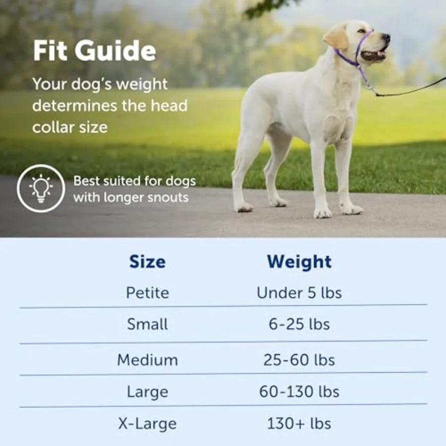 Gentle Leader Pull Head Collar for Dogs with Padded Strap and QuickSnap Neck Adjustment Ideal for Training and Walking Reduces