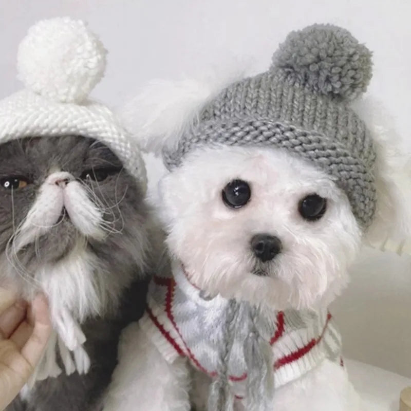 Pet Knitted Hat Dog Cute Fur Ball Head Cover Cat Accessories Suitable for Small and Medium Dogs and Cats